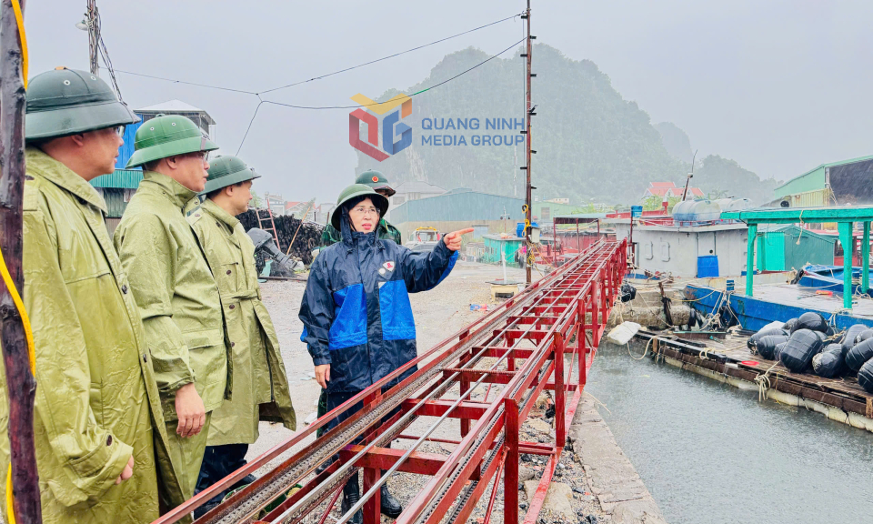 Đồng chí Phó Bí thư Thường trực Tỉnh uỷ, Chủ tịch HĐND tỉnh kiểm tra công tác phòng, chống bão tại phường Cẩm Phả