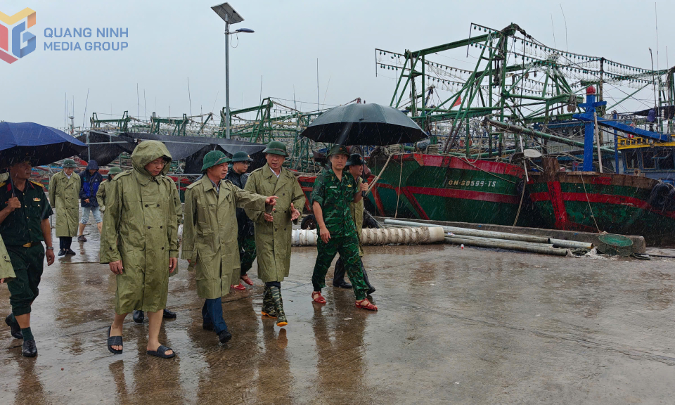 Các đồng chí lãnh đạo tỉnh kiểm tra công tác phòng chống bão tại một số địa phương miền Đông 