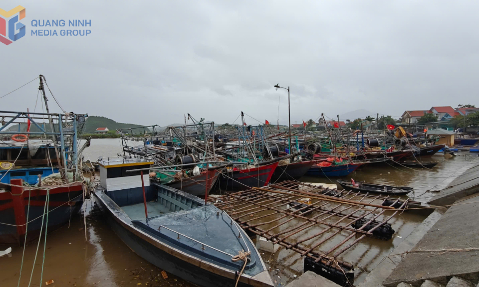Tăng cường chỉ đạo phòng, chống, ứng phó với cơn bão số 3 (Wipha) và những tác động của cơn bão 