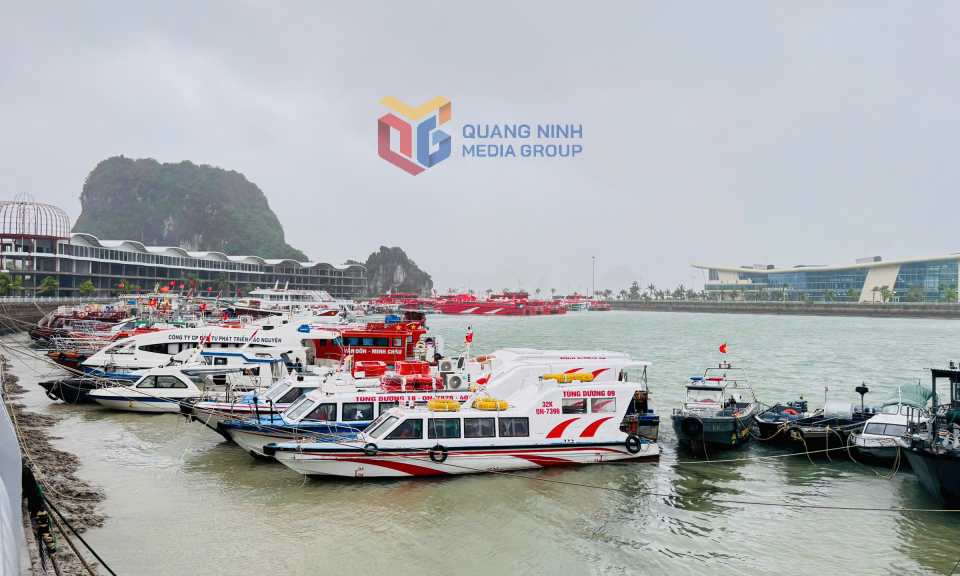 Bão số 3 đang gây gió rất mạnh ven biển Quảng Ninh, Hải Phòng