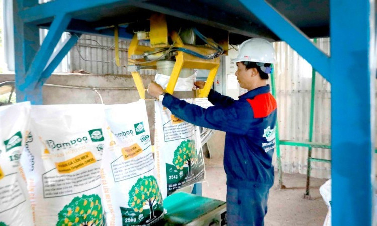 Nắm bắt thời cơ từ chính sách thuế
