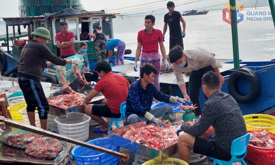 Ngành nông nghiệp giữ vững đà tăng trưởng