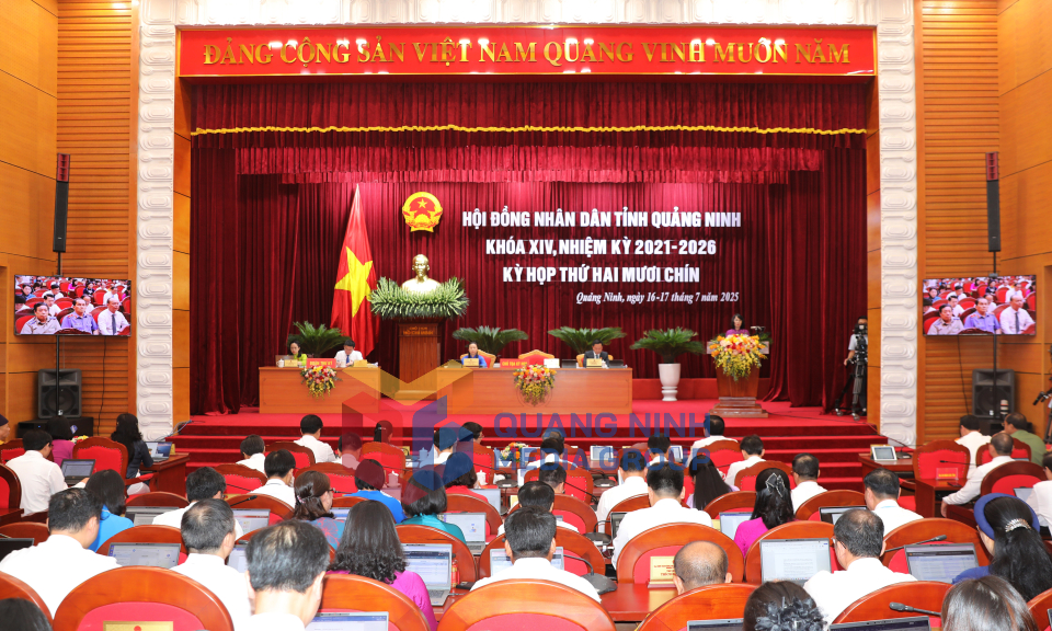 Kỳ họp thứ 29, HĐND tỉnh khoá XIV, nhiệm kỳ 2021-2026, tháng 7-2025