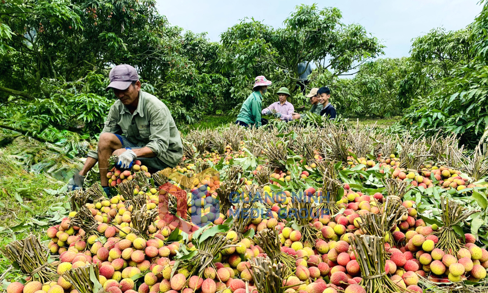 Nông thôn mới phường Yên Tử