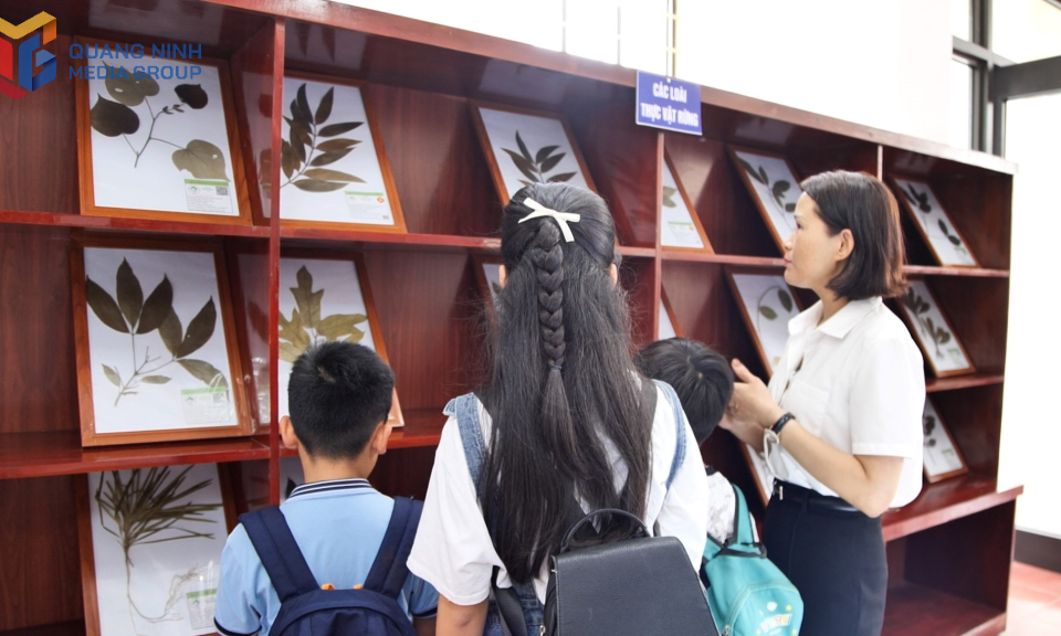 Bảo tàng Đa dạng sinh học Vườn Quốc gia Bái Tử Long