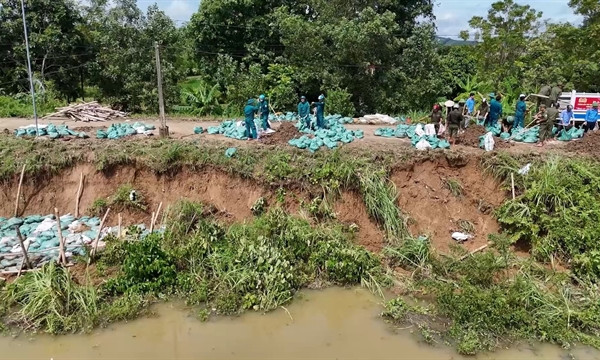 PM orders swift action to mitigate Typhoon Wipha’s devastation