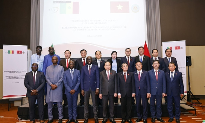 Việt Nam, Senegal strengthen economic ties at policy dialogue