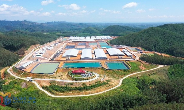 Động lực cho đầu tư chăn nuôi