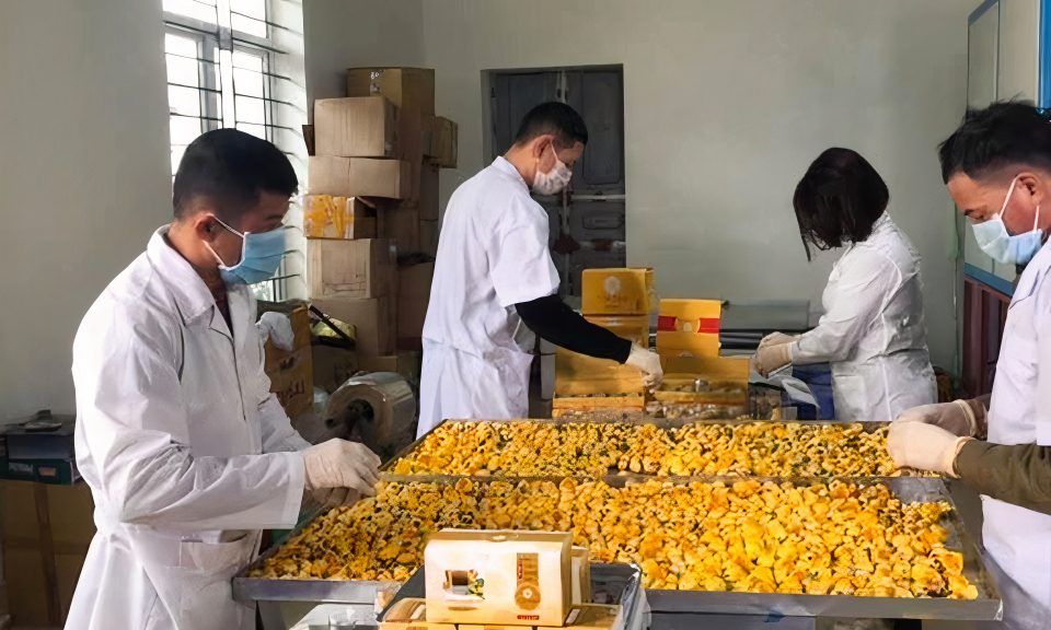 Phát triển các sản phẩm OCOP chủ lực