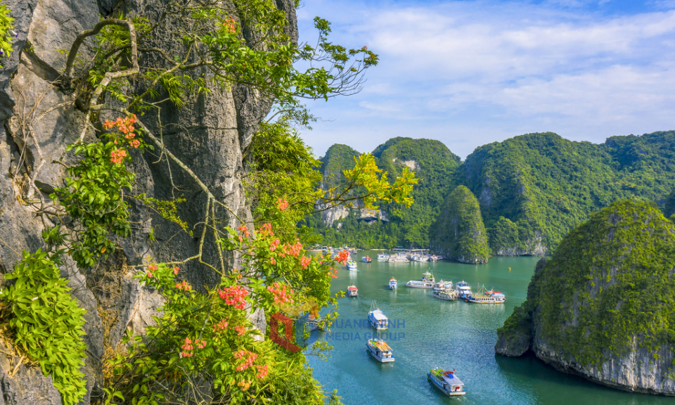 Ha Long Bay - A sublime harmony of rock and water