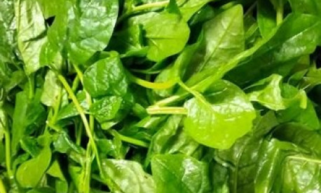 Hạ huyết áp bằng loại rau được ưa thích vào thời tiết mùa hè