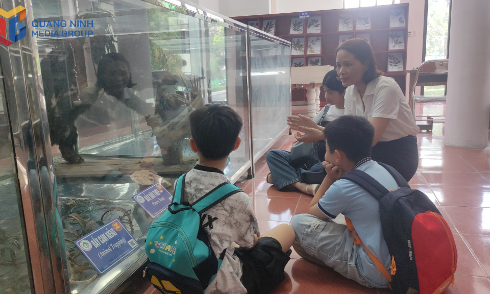 The biodiversity museum of Bai Tu Long National Park 