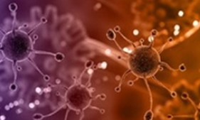 Vaccine Trung Quốc - Singapore ức chế tế bào ung thư gốc, ngăn tái phát và di căn