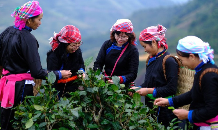 Ứng dụng trí tuệ nhân tạo trong du lịch: Xu hướng mới của người Việt