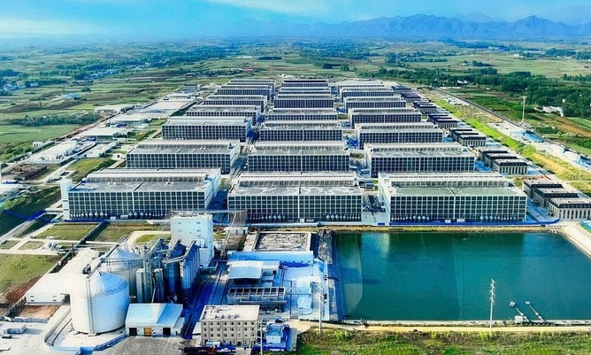 Xin ý kiến Thủ tướng cho làm mô hình 'chung cư nuôi heo' ở Việt Nam