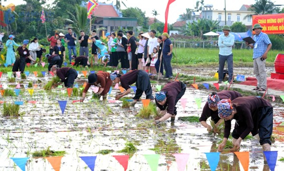 下田节：祈求风调雨顺 五谷丰登