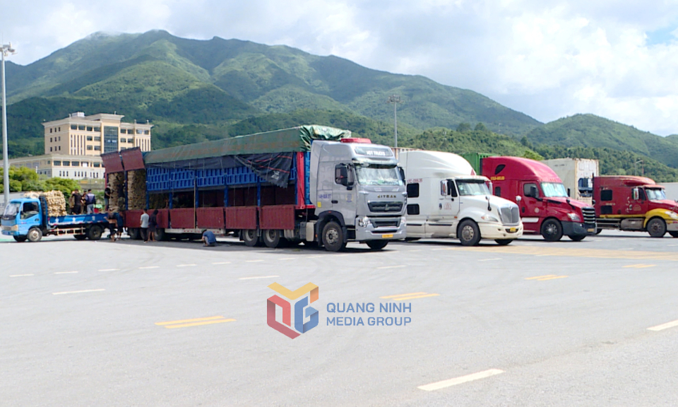  Xã Quảng Đức phấn đấu vượt kế hoạch thu ngân sách