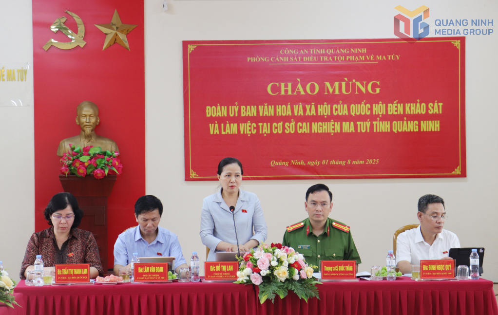 Đỗ Thị Lan, Phó Chủ nhiệm Ủy Ban Văn hóa và xã hội, Thường trực Ủy Ban Văn hoá và xã hội
