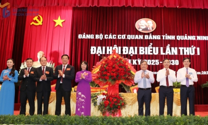Đại hội Đảng bộ các cơ quan Đảng tỉnh