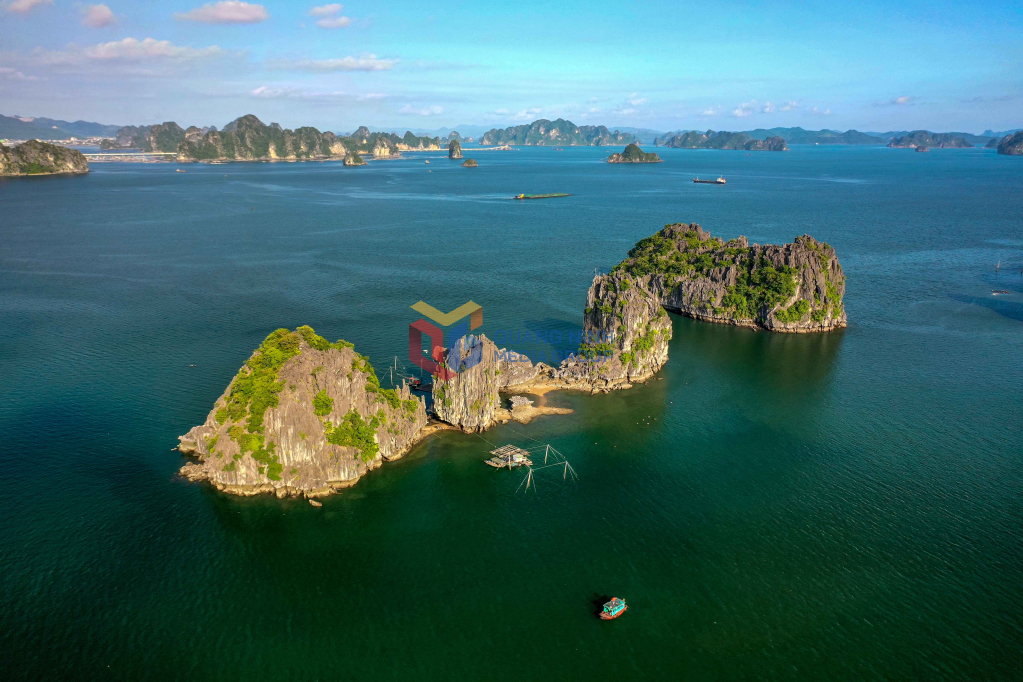 Rồng con và Rồng mẹ.