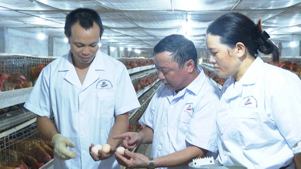 Ảnh với chú thích
