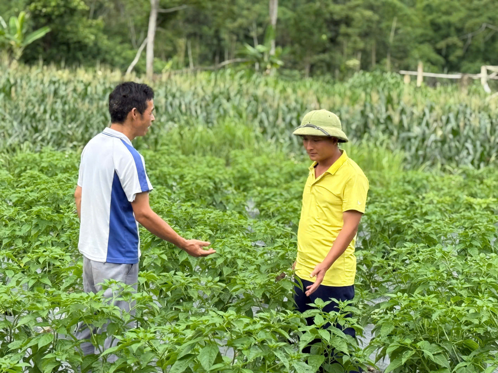 Ảnh với chú thích