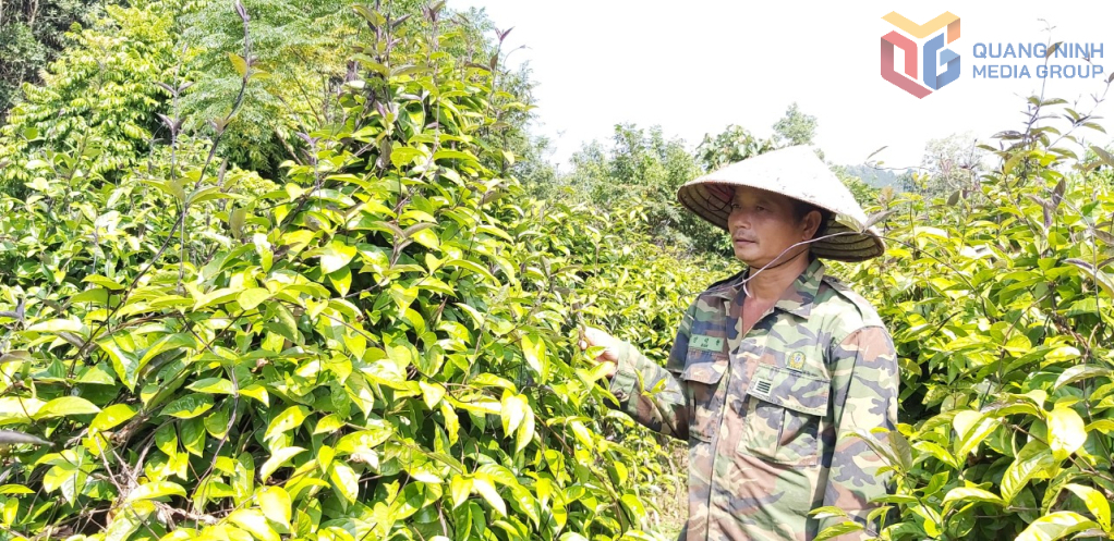 Ảnh với chú thích