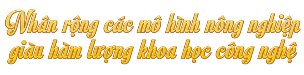 Ảnh trong văn bản