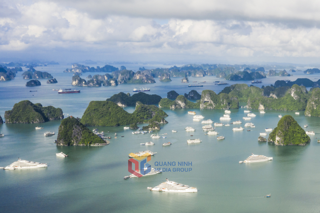 Thuyền buồm trắng nổi bật giữa làn nước xanh ngọc