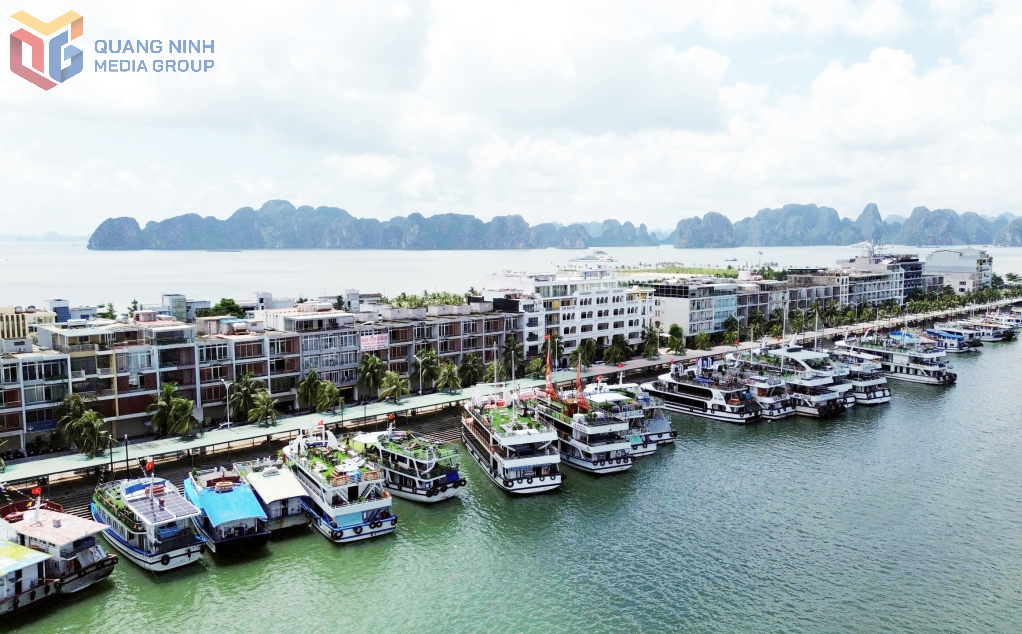 Nhiều tàu du lịch vỏ thép với tiện nghi hiện đại sẵn sàng đón khách tham quan Vịnh Hạ Long và các tuyến đảo trong mùa cao điểm du lịch hè.