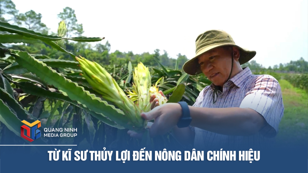Từ kĩ sư thủy lợi đến nông dân chính hiệu