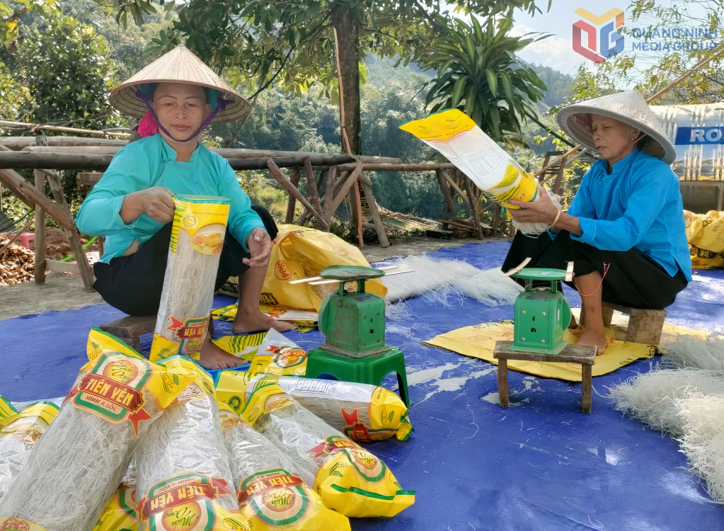 Người dân xã Tiên Yên đóng gói các sản phẩm miến dong.