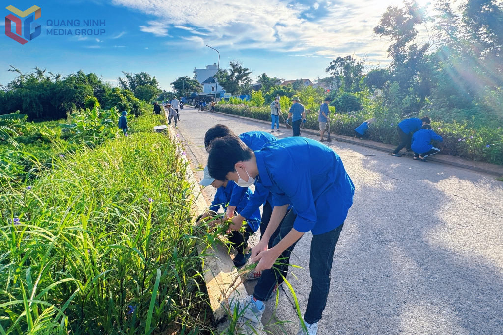 ĐVTN phường Tuần Châu tham ra dọn vệ sinh 
