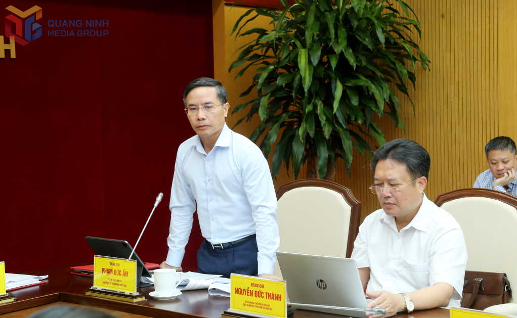 Đồng chí Phạm Đức Ấn, Phó Bí thư Tỉnh ủy, Chủ tịch UBND tỉnh, phát biểu tại hội nghị.