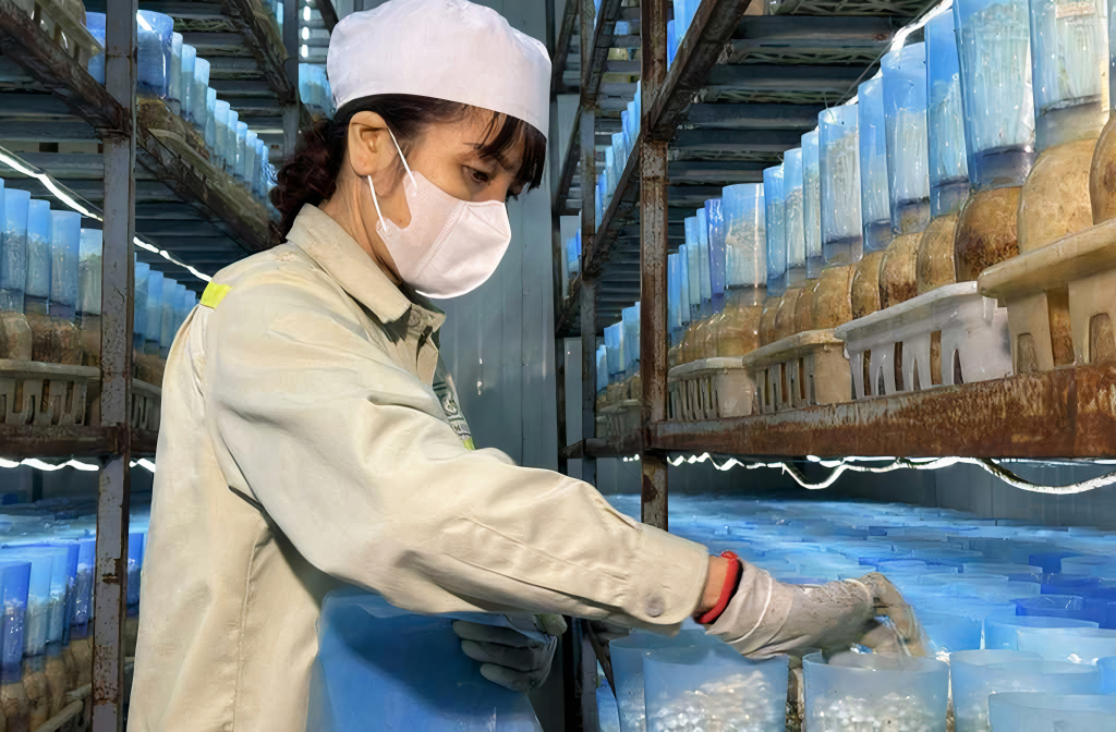 Ảnh với chú thích