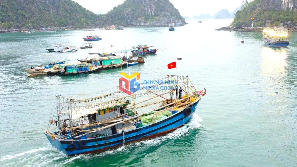 Tàu cá hoạt động trên vùng biển Vân Đồn.