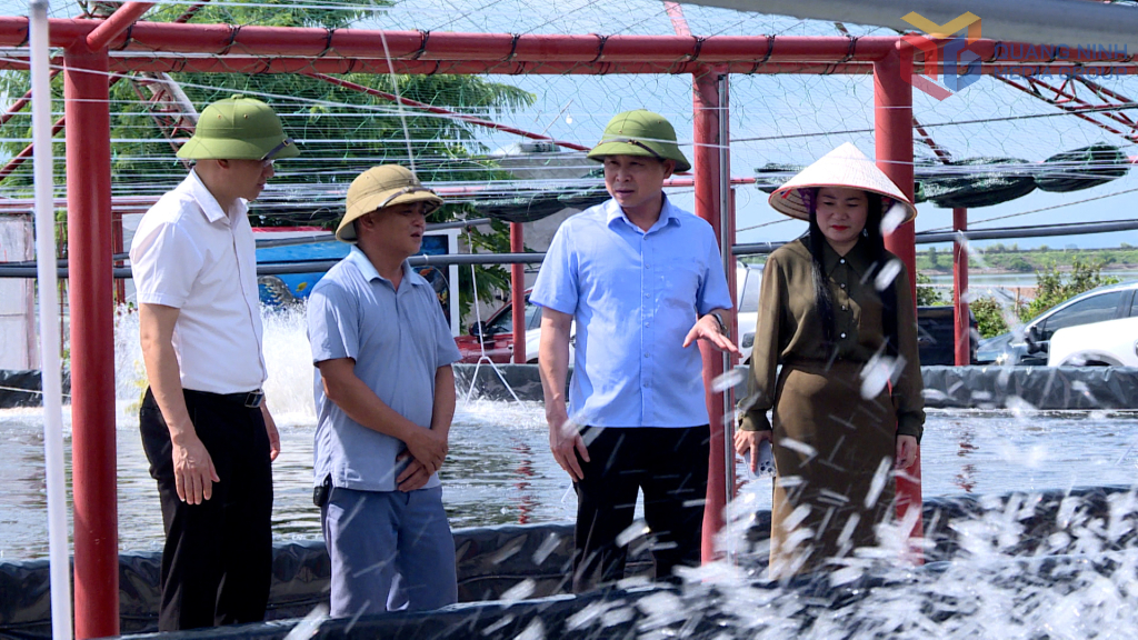 Lãnh đạo xã Hải Lạng thăm mô hình nuôi tôm công nghệ cao của người dân trên địa bàn.