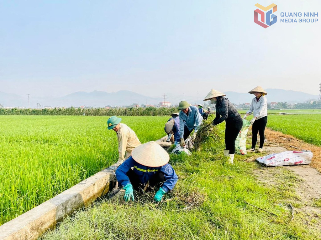 Hội Nông dân phường Yên Tử dọn dẹo vệ sinh đồng ruộng trên địa bàn.