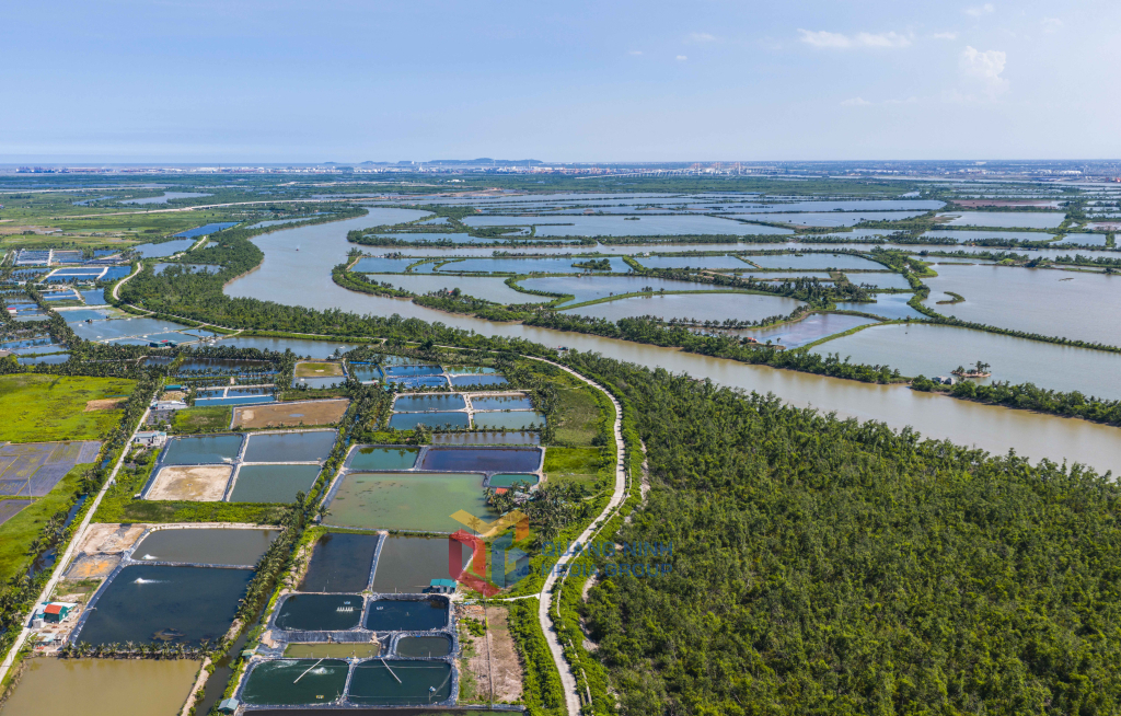 Bờ sông uốn lượn mềm mại quanh đảo, tạo nên nét đẹp thơ mộng và đầy chất trữ tình cho vùng đất ven biển Quảng Yên.