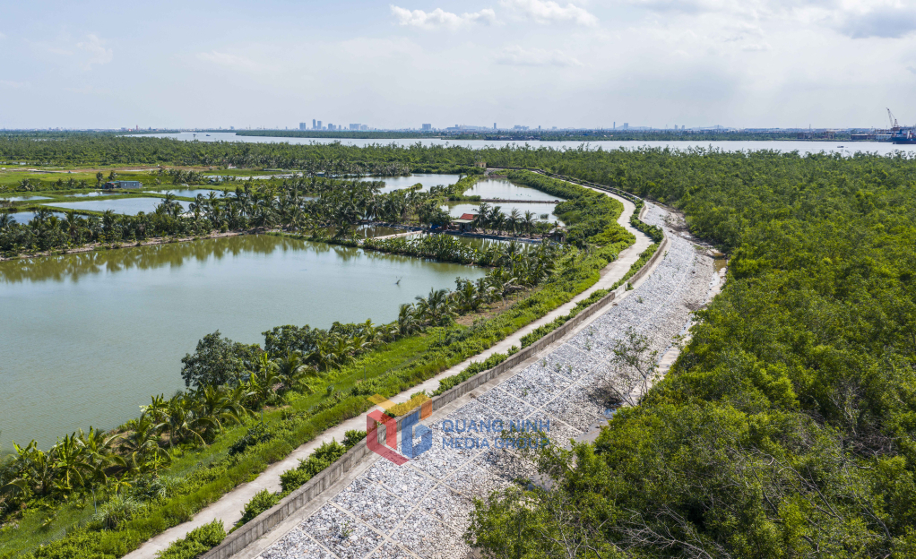 Tuyến đường ven đảo vừa chắn sóng vừa mở ra tầm nhìn tuyệt đẹp ra biển, là nơi lý tưởng để dạo bước và ngắm cảnh hoàng hôn.