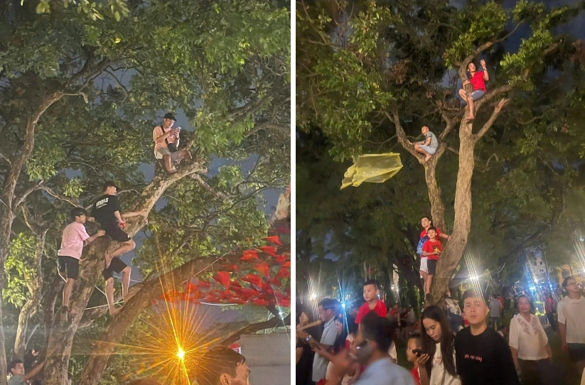 Người dân trèo lên cây bên đường để xem diễu binh, diễu hành - Ảnh: MXH