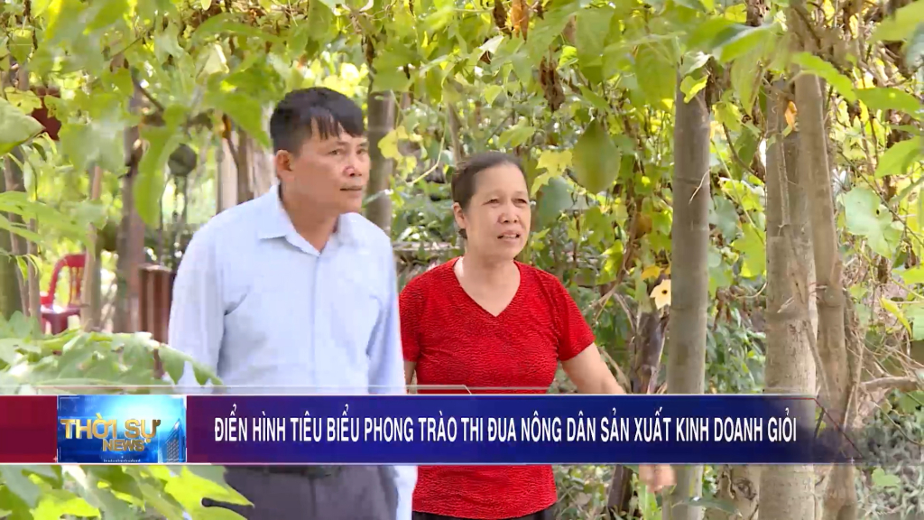 Điển hình tiêu biểu phong trào thi đua nông dân sản xuất kinh doanh giỏi