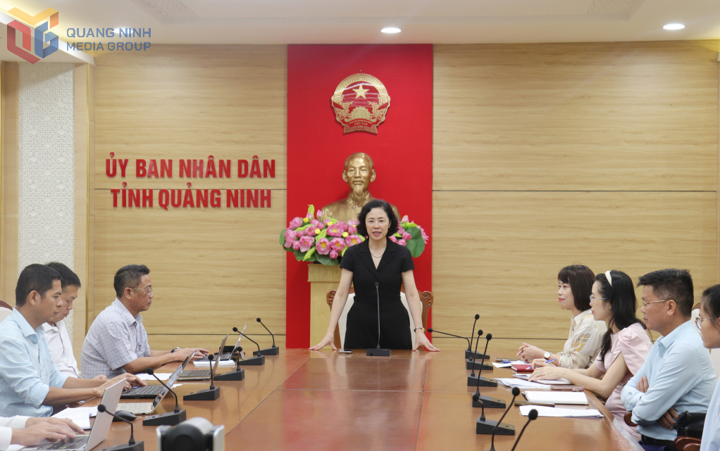 Phát biểu tại buổi làm việc, đồng chí Vũ Thị Mai Anh, Giám đốc Sở Nội vụ