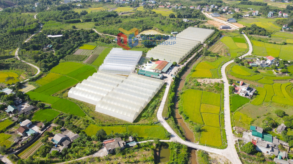 Mộc góc xã Quảng Tân