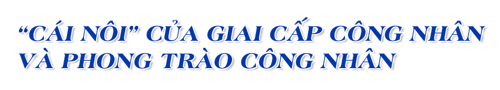 Ảnh trong văn bản