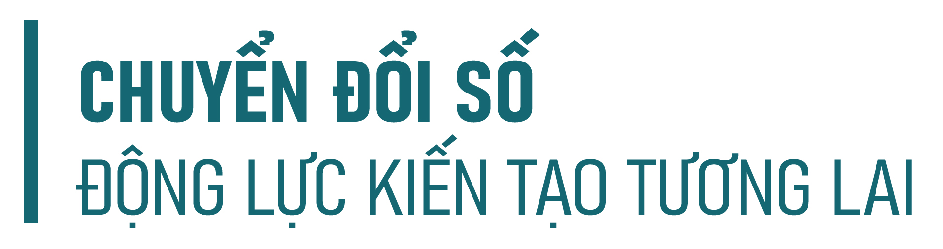 Ảnh trong văn bản