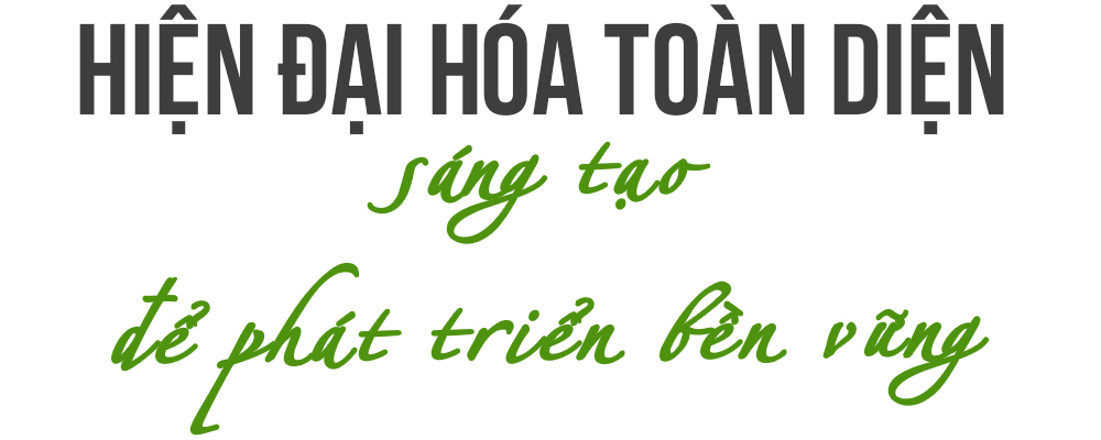 Ảnh trong văn bản