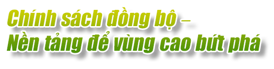 Ảnh trong văn bản