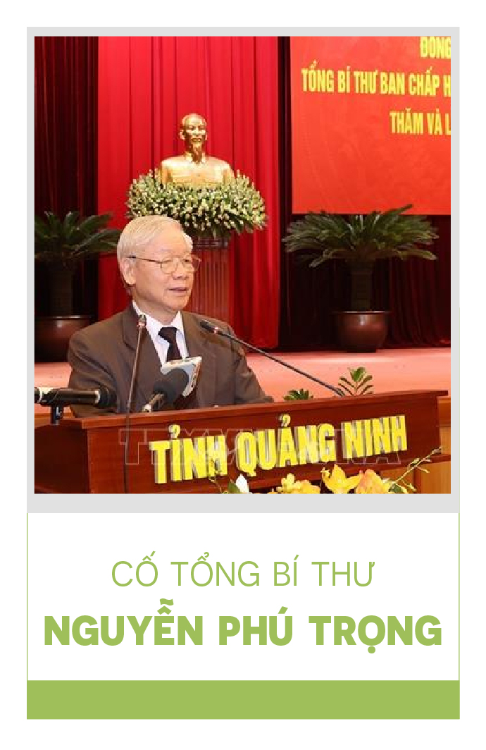 Ảnh căn trái