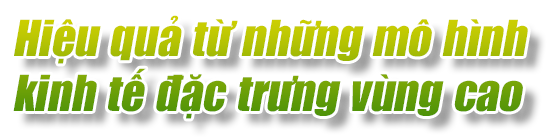 Ảnh trong văn bản